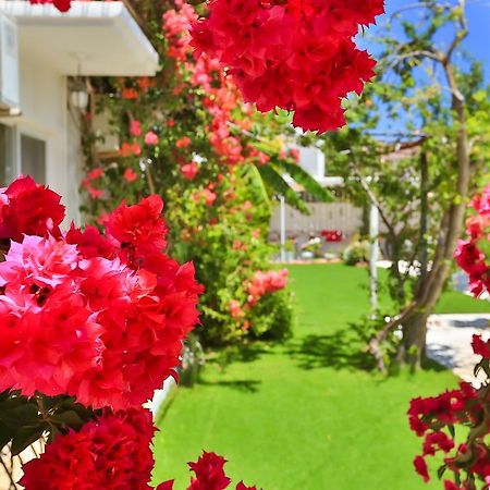 Kiraz Butik Hotel Alaçatı Ngoại thất bức ảnh
