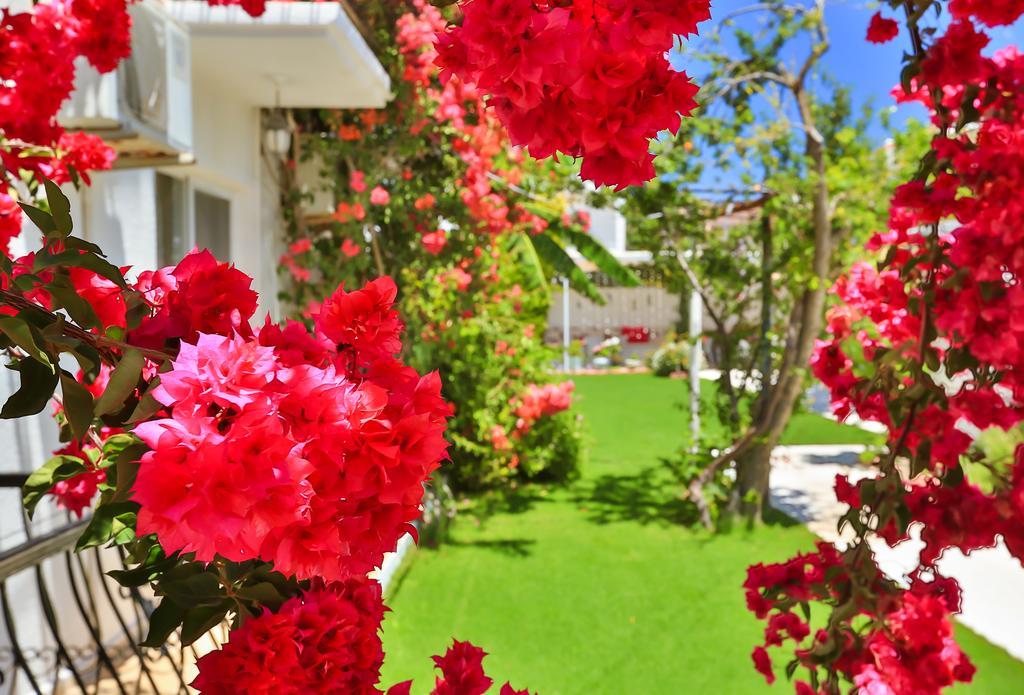 Kiraz Butik Hotel Alaçatı Ngoại thất bức ảnh